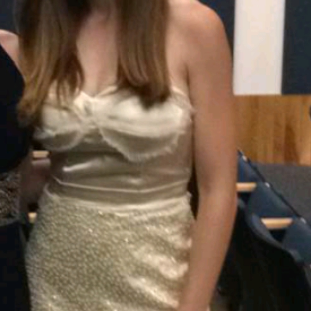 Custom Made Sequined Champagne Gown 4